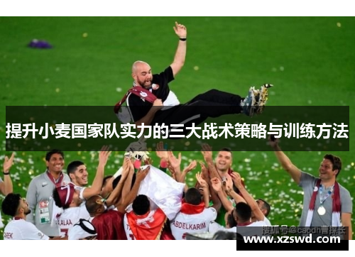提升小麦国家队实力的三大战术策略与训练方法