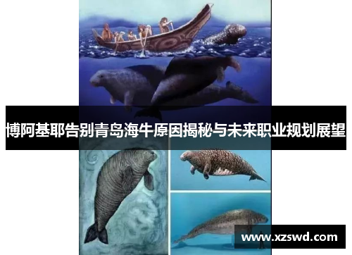博阿基耶告别青岛海牛原因揭秘与未来职业规划展望