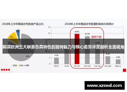 解读欧洲五大联赛各具特色的独特魅力与核心差异深度剖析全面视角 解读欧洲五大联赛各具特色的独特魅力与核心差异深度剖析全面视角